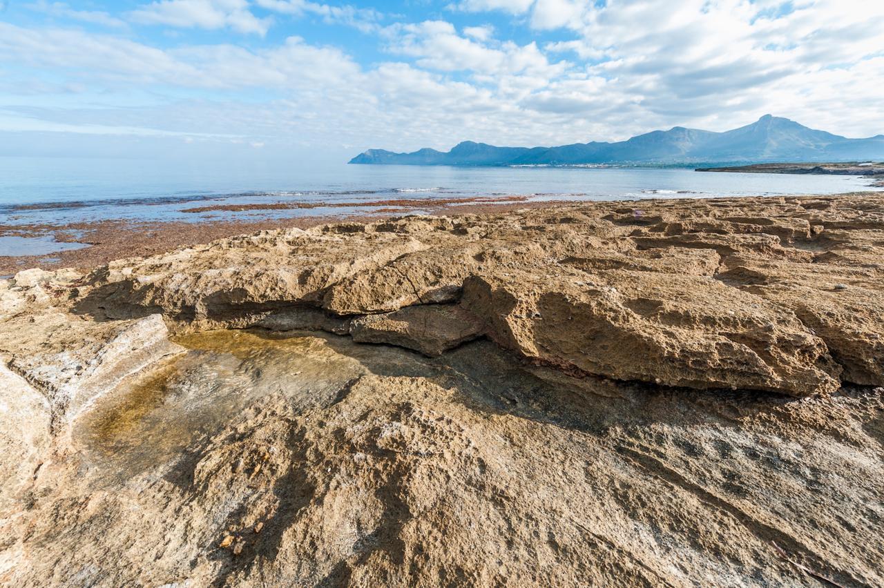 Ombra De Pins Βίλα Son Serra de Marina Εξωτερικό φωτογραφία